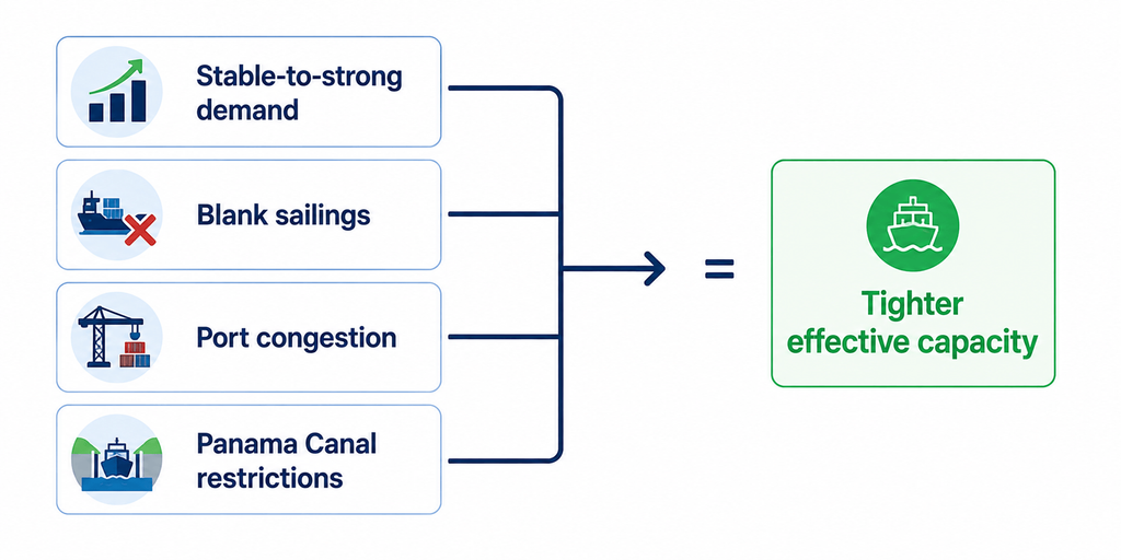 September 2026 Ocean Freight Rate Forecast